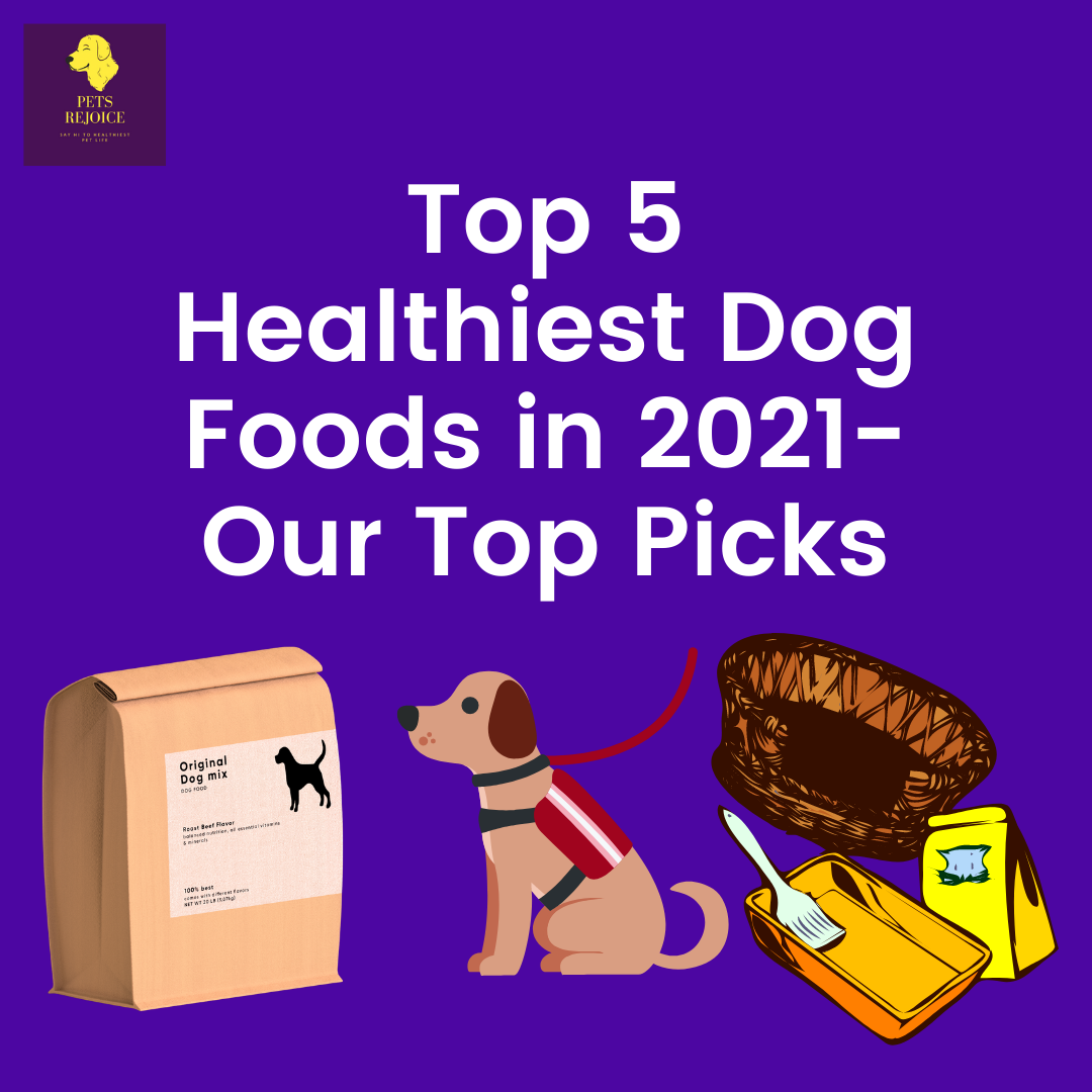 Healthiest Dog food in 2021