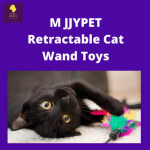 M JJYPET Retractable Cat Wand Toys