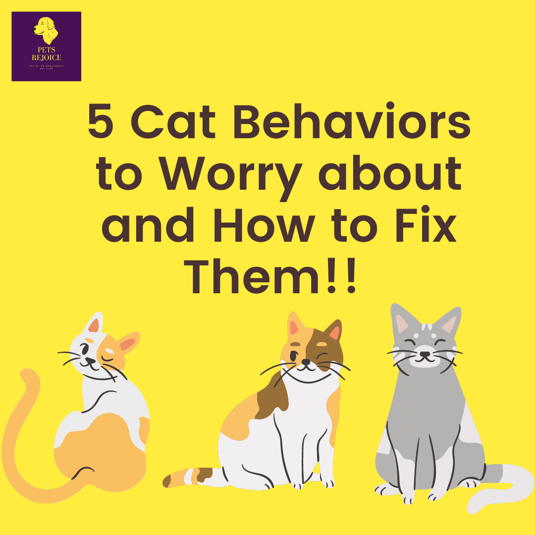 cat behaviors to worry about