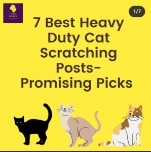 heavy duty cat scratching post