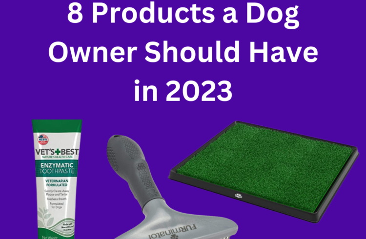 best product for dog owners