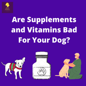 Are supplements and vitamins bad for your dog?