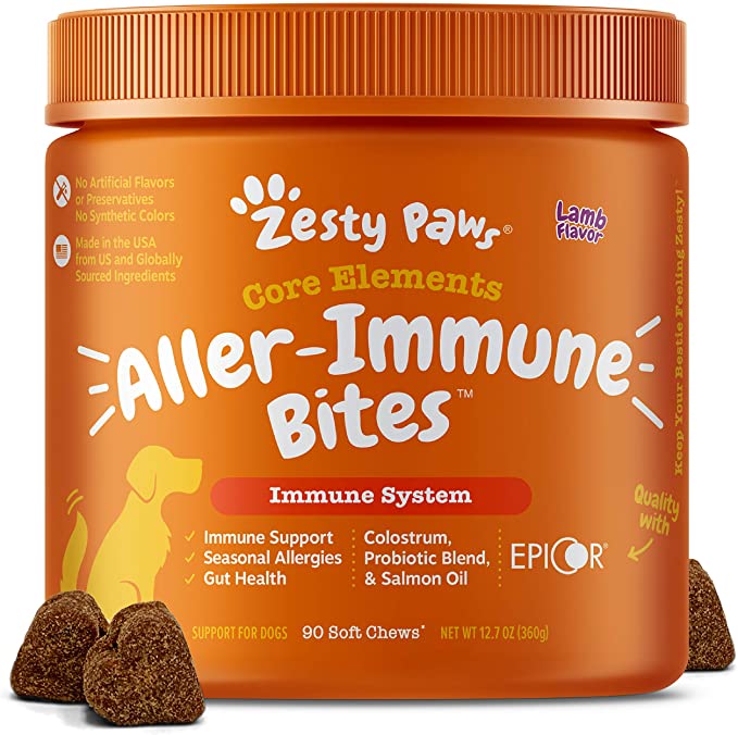 Best Supplements for Dogs with Allergies