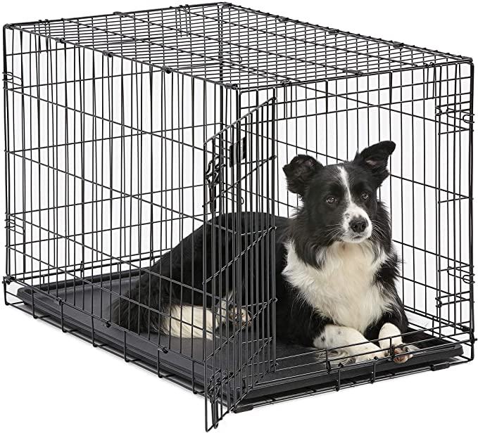 Dog Crate | iCrate -Best Cozy Moveable: