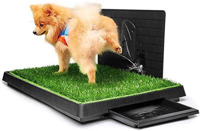 Best Litter Box For Large Breed Dogs