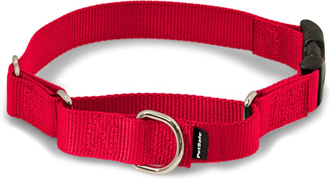 PetSafe Martingale Dog Collar with Quick Snap Buckle