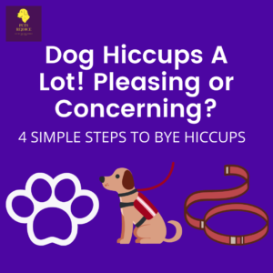Dog hiccups A lot
