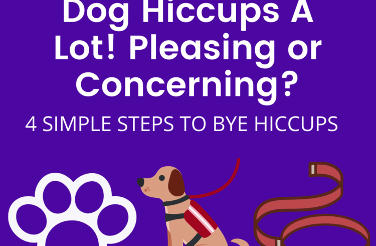Dog hiccups A lot