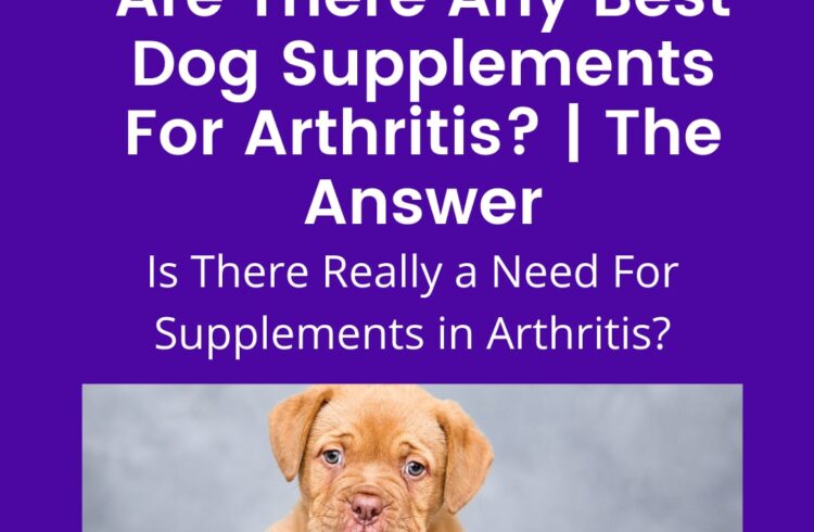 best dog supplements for arthritis