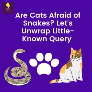 are cats afraid of snakes