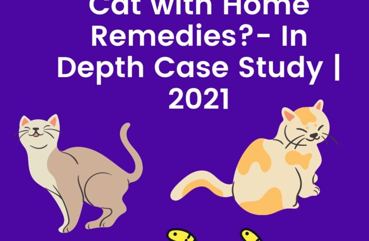 how to deworm a cat with home remedies