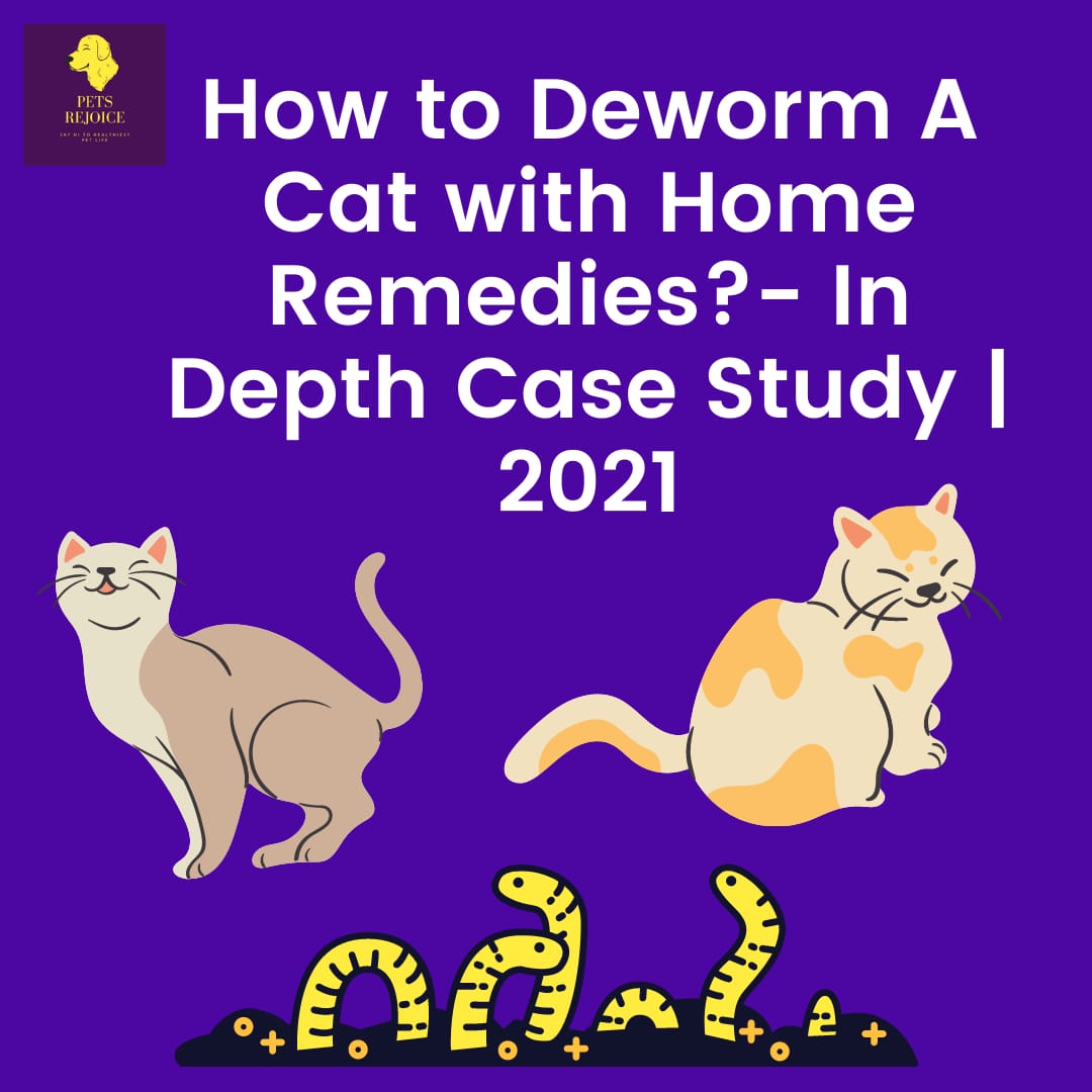 how to deworm a cat with home remedies