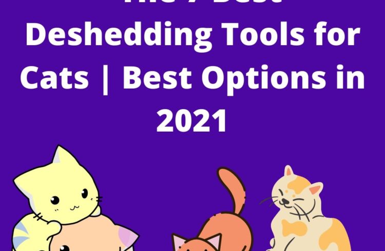 Best deshedding tools for cats