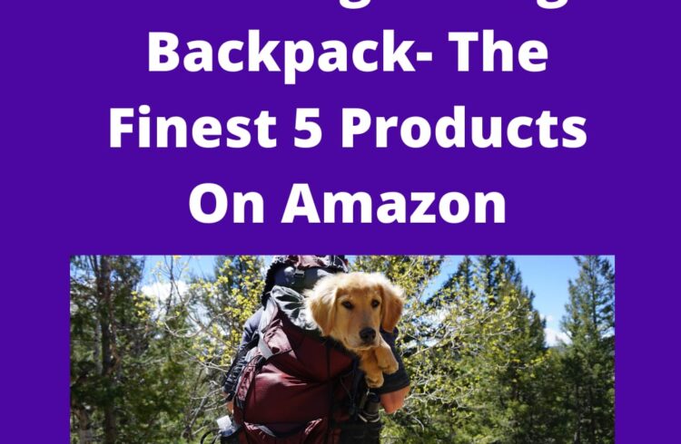 Best Dog Hiking Backpack- Know Our 5 Top-Picks for You