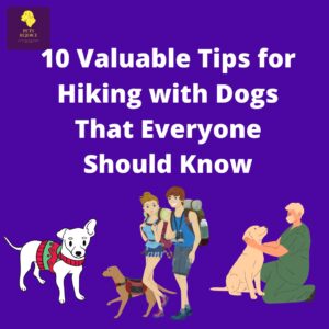 10 Valuable tips for hiking with dogs