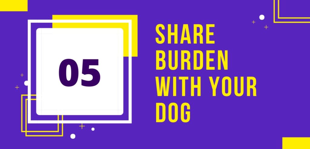 tip for hiking: share burden with your dogs