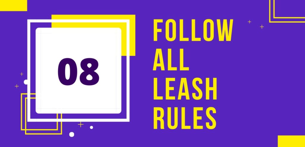follow all leash rules