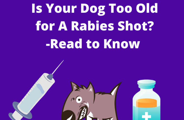 dOG TOO OLD FOR RABIES SHOT