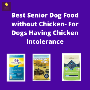 Best Senior Dog Food without Chicken