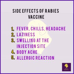 Side Effects Of Rabies Vaccine 