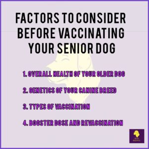 Dog too old for vaccination factors