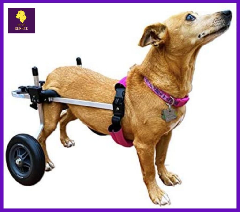K9 Carts -The Original Dog Wheelchair-Best Small Dog Wheelchair for Back Legs