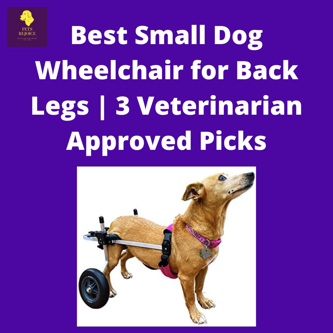 best small dog wheelchair for back legs