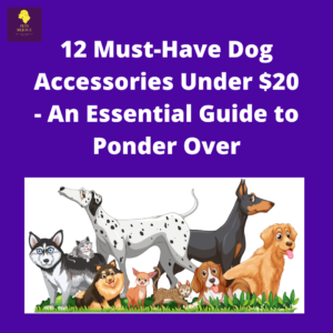 12 Must-Have Dog Accessories Under $20
