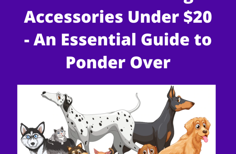 12 Must-Have Dog Accessories Under $20