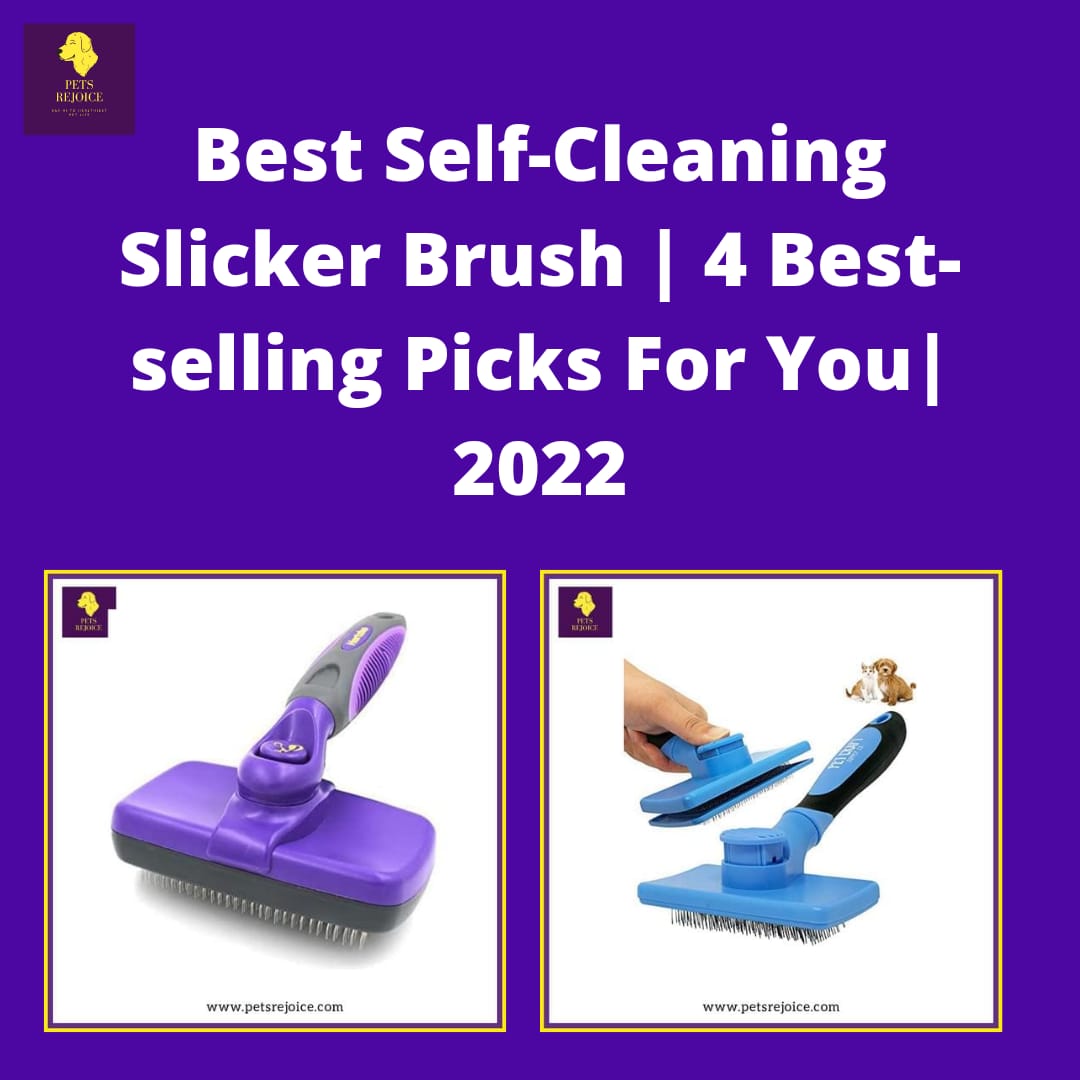 Best Self-Cleaning Slicker Brush