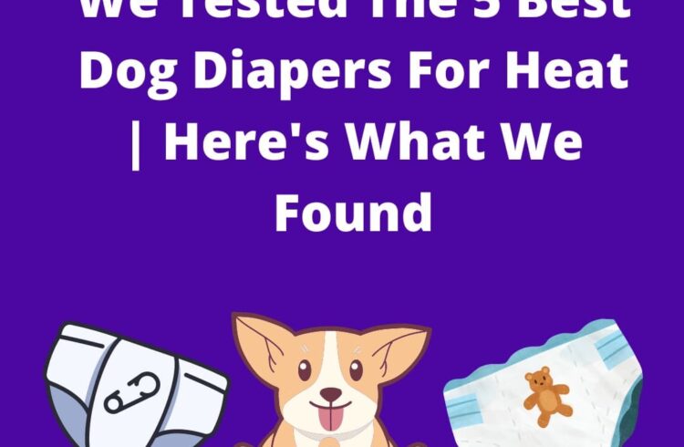 best dog diapers for heat
