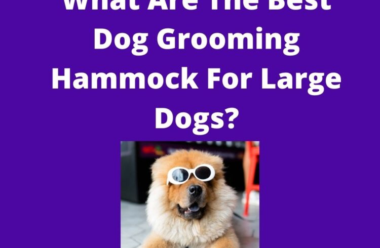 What are the best dog Grooming Hammock for Large Dogs