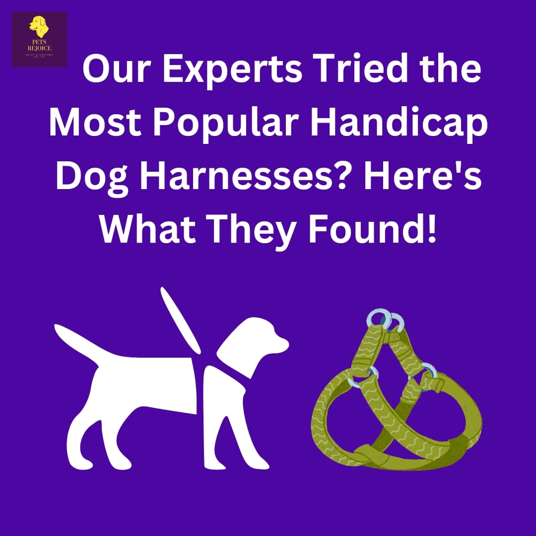handicap dog harnesses