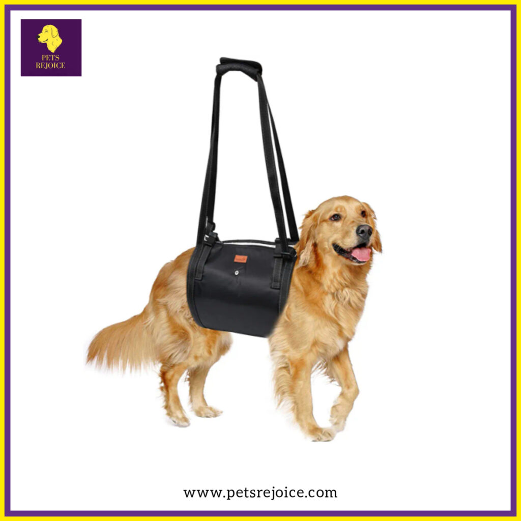 Loobani Lift Harness For Large Dogs